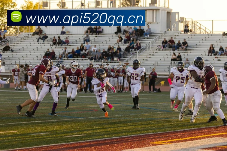 App Interface Preview